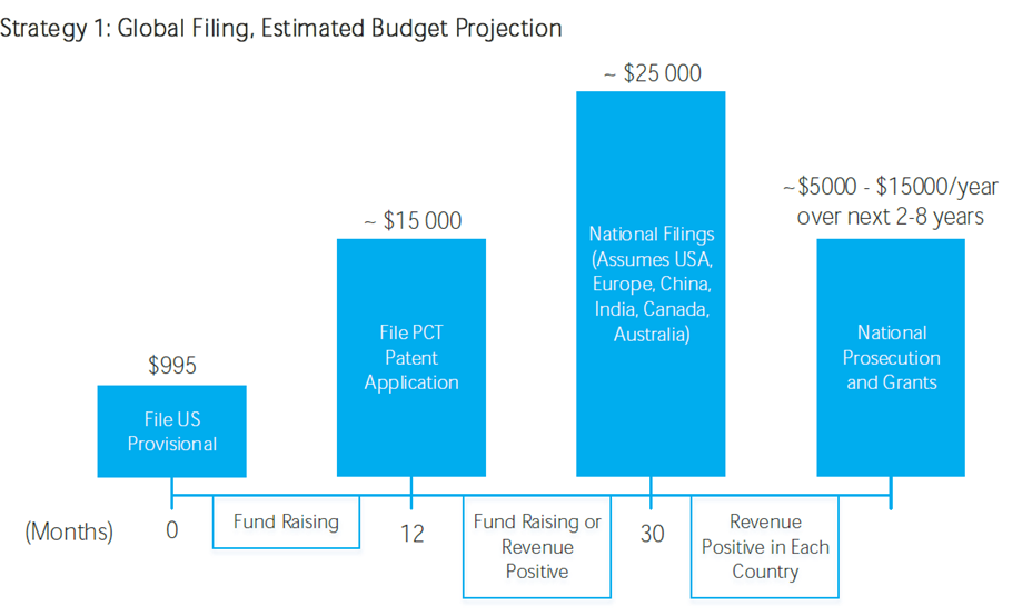A diagram showing the investment required for a global patent filing strategy. The cost is 995$ at month 0, $15,000 at month 12, $25,000 at month 30, and then $5,000 to 15,000 per year for the next 2-8 years.