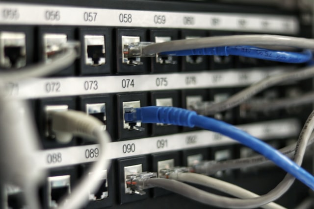 Close-up photograph of server with multiple ethernet cords plugged in