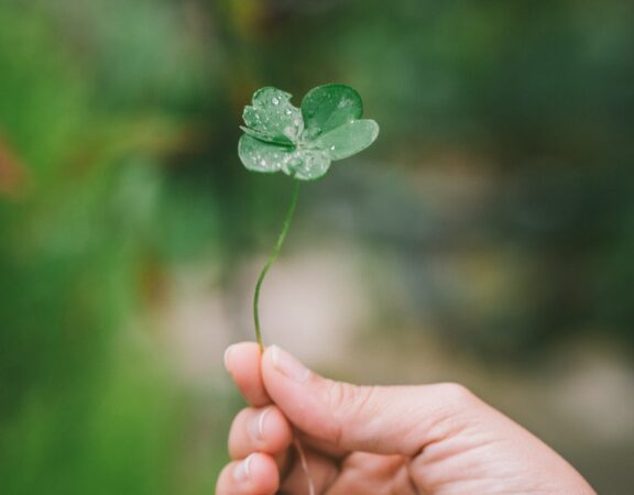 Photograph of a hand holding a lucky four-leaf clover