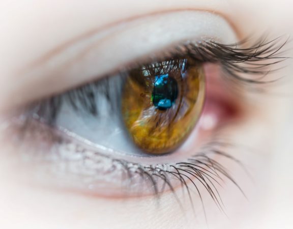 Macro (close-up) photo of a hazel coloured human eye, eyelashes, and eyelid.