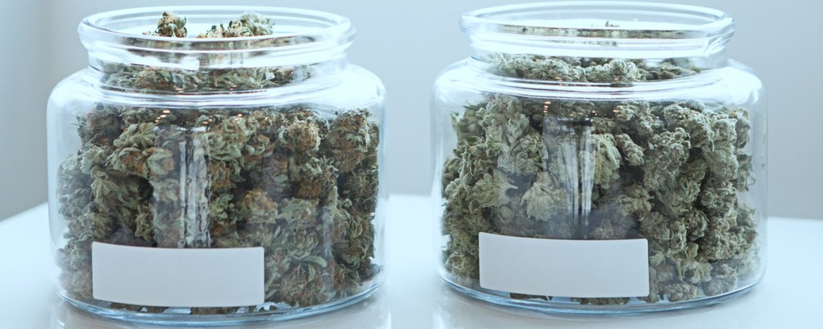 Photo of two jars of weed for sale in a cannabis store.